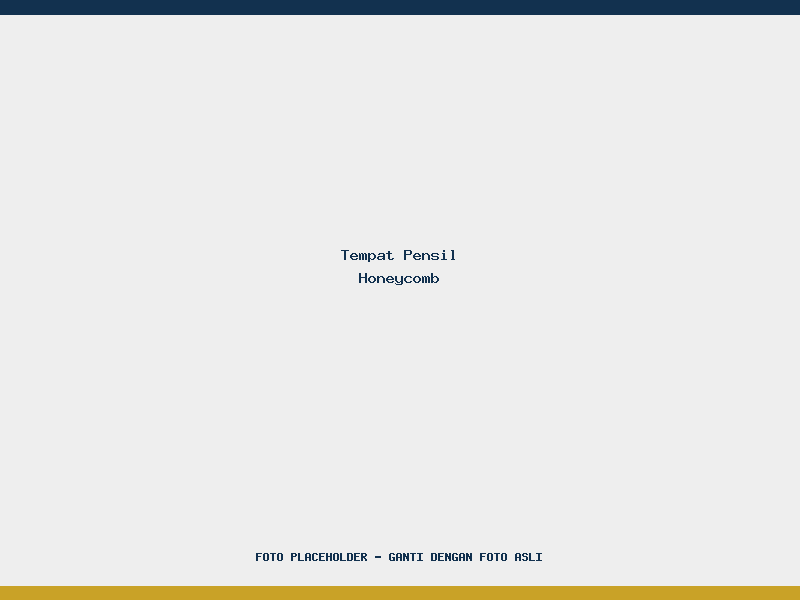 Tempat Pensil Honeycomb